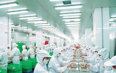 食品加工包裝行業(yè)的迅猛發(fā)展及其對(duì)農(nóng)副產(chǎn)品的深遠(yuǎn)影響