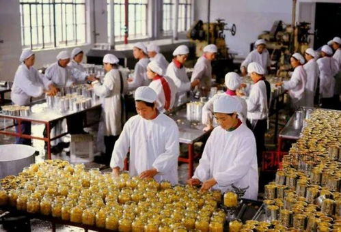 杭州罐頭食品廠舊址煥新 從工業遺產到城市新地標