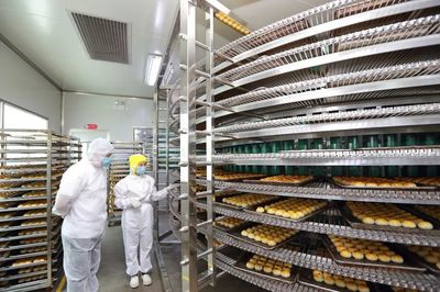 減稅降費助力企業發展，共筑創業就業新藍圖